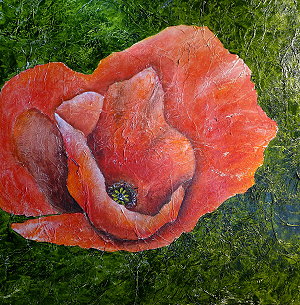 mohn
